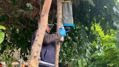Bozcaada Belediyesi’nden sineklerle mücadele