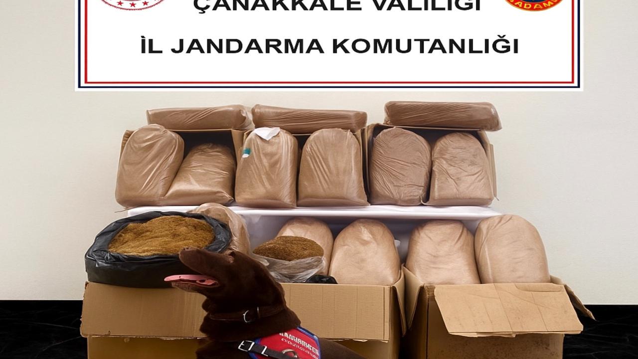 Çanakkale ve Çan'da Kaçakçılık Operasyonu! İşte Ele Geçirilenler!