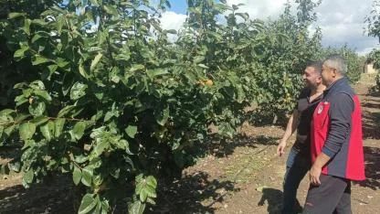Çanakkale’de Dolu Sonrası Tarım Alanlarında Tespit Çalışması
