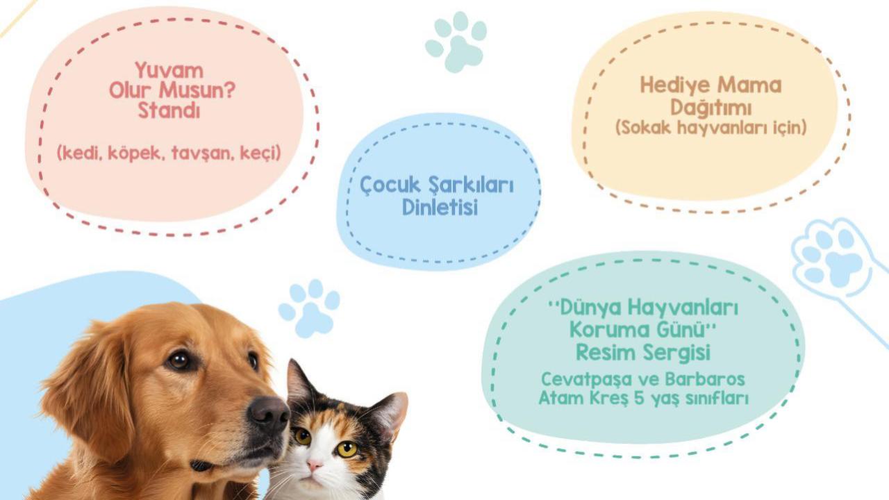 Çanakkale&#039;de Dünya Hayvanları Koruma Günü etkinlikleri