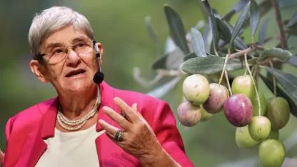 Canan Karatay Eceabat'a Geliyor! Zeytinyağı Şenliği Başlıyor