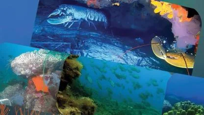 Denizlerin Sesine Kulak Veriliyor: Bozcaada 7. Sualtı Günleri Başlıyor!