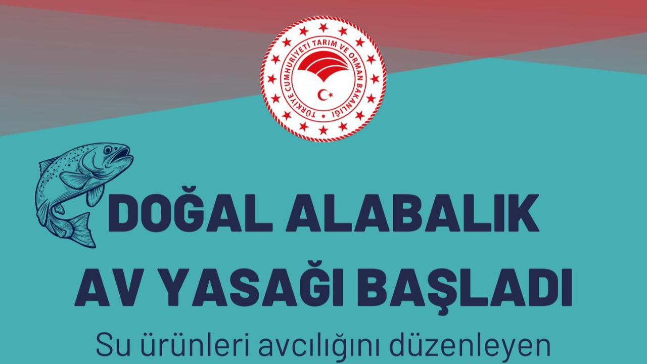 Doğal Alabalık Av Yasağı 1 Ekim’de Başladı