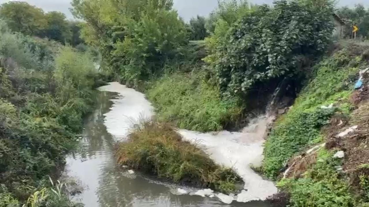 Gemlik Körfezi'nde kirlilik endişe veriyor