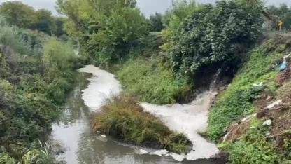 Gemlik Körfezi'nde kirlilik endişe veriyor