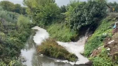 Gemlik Körfezi'nde kirlilik endişe veriyor