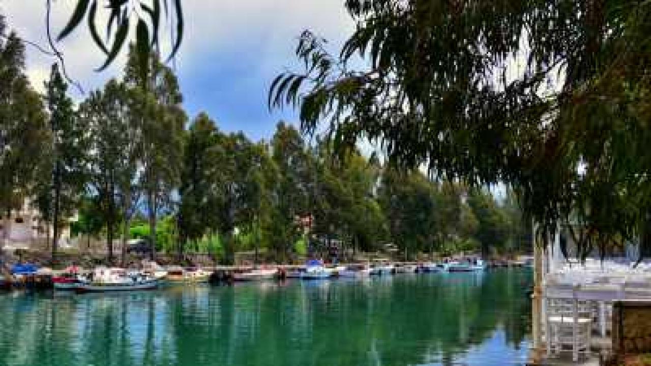 Hatay Arsuz'da Lüks Villa Fırsatı: Vakıflar 3 Adet Tripleks Konutu İhaleyle Satışa Sunuyor!