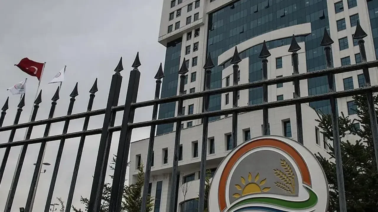 KPSS 50 Puanla İşe Başla! DKMP 13 Sözleşmeli Personel Alacak