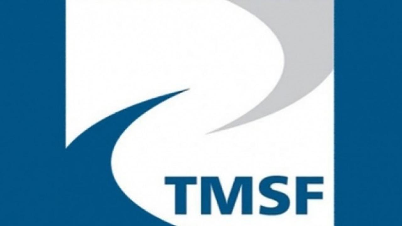 Medya Sektöründe Dev İhale! TMSF, Bir Televizyon Kanalını Satışa Çıkarıyor: İşte Kritik Tarihler!