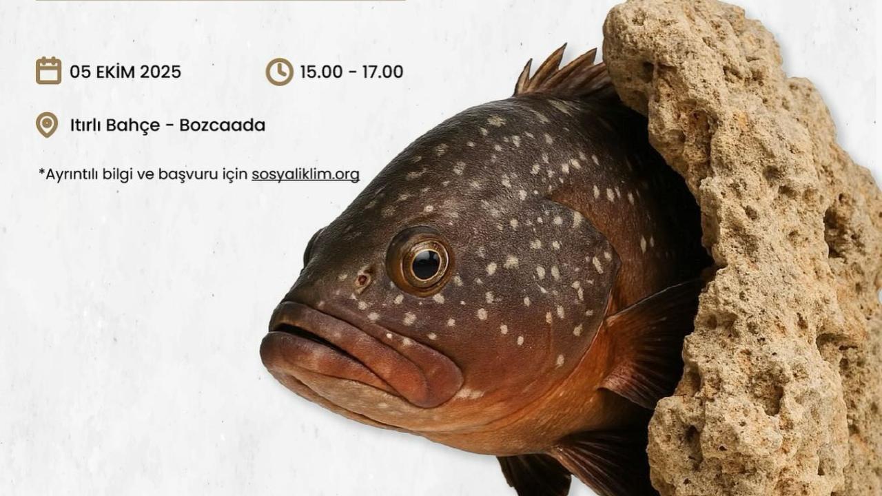 Mercanların geleceği konuşulacak