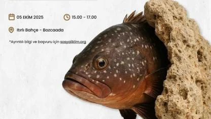Mercanların geleceği konuşulacak