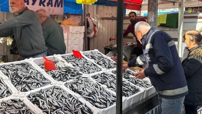 O şehirde hamsi 100 liraya düştü. Peki Çanakkale'de fiyat nasıl?