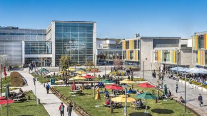 Özyeğin Üniversitesi Öğretim Üyesi Alacak
