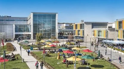 Özyeğin Üniversitesi Öğretim Üyesi Alacak