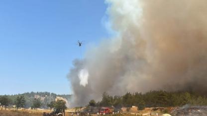 Çanakkale'de ormanda yanmış ceset bulundu