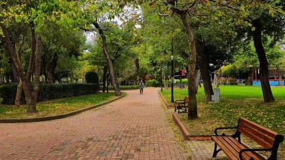 Tarihi Kentte Sessiz  Mevsim: Çanakkale'de Sonbahar Keşfedilmeyi Bekleyen Sır Gibi