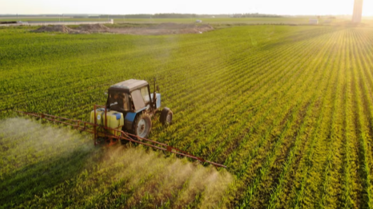 TİGEM, 8 Ay Süreli Bitkisel ve Hayvancılık İşçilikleri İçin İhale Açtı