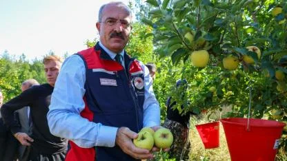 Vali Toraman elma hasadına katıldı