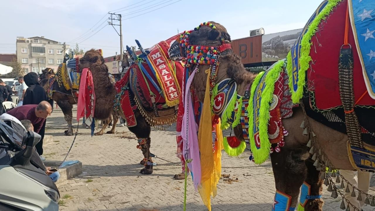 300 Yıllık Gelenek! Çan’da Havut Giydirme Hayrı Düzenlendi