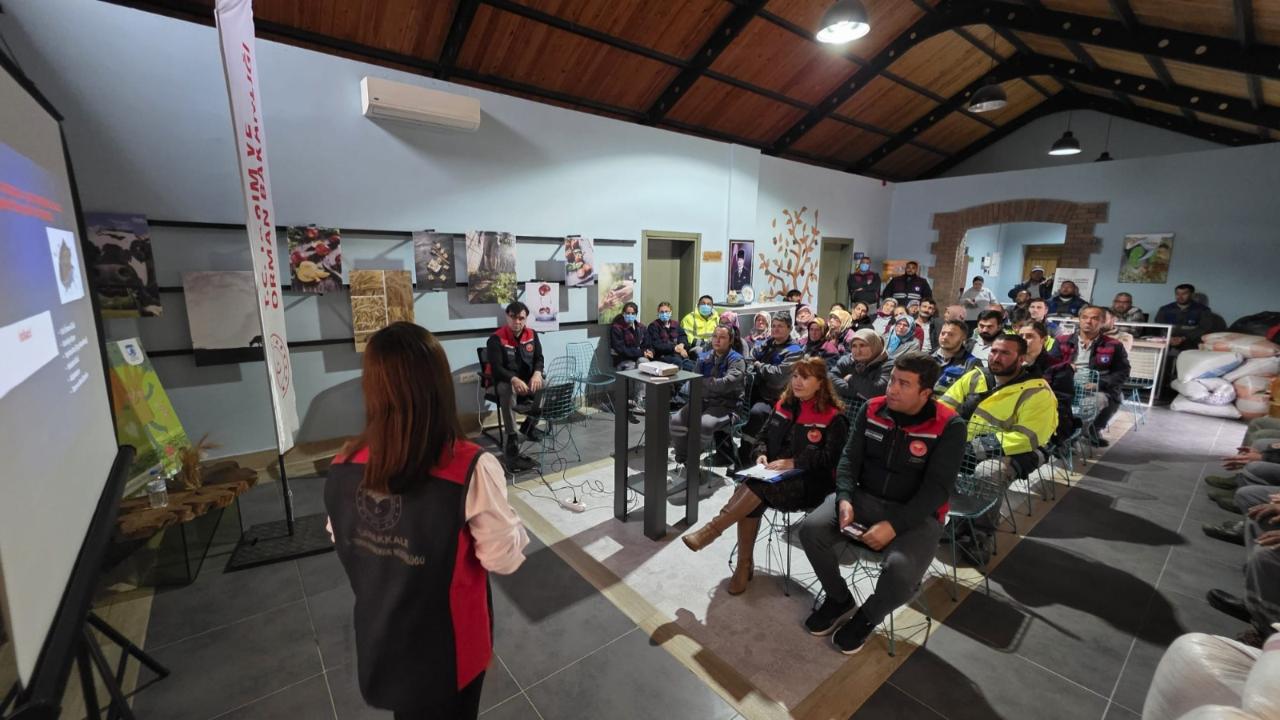 4000 Samuray Arısı Göreve Başladı! Kahverengi Kokarca'ya Karşı Samuray Arısı Yöntemi Çanakkale'de Uygulanıyor!