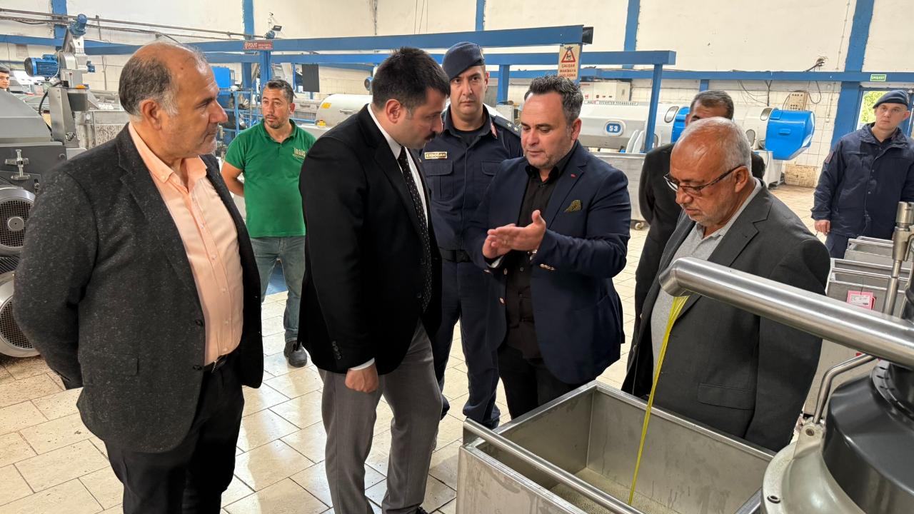 Ayvacık'ın "Sıvı Altın" Merkezi Mercek Altında! Kaymakam Karali, Tariş Zeytinyağı Fabrikasını Ziyaret Etti.