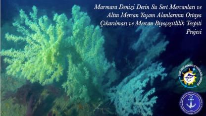 Bakanlık & ÇOMÜ Ortaklığı: Sert Mercanlar İlk Kez Gözler Önünde!