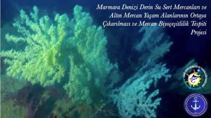 Bakanlık & ÇOMÜ Ortaklığı: Sert Mercanlar İlk Kez Gözler Önünde!