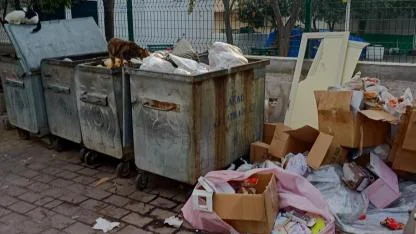 Birsen Tunca’dan Kepez Belediyesi’ne tepki: "Kepez bu pisliği hak etmiyor"