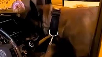 Çanakkale'de Polisten Uyuşturucu Batağına Dev Baskın! 80.000 TL Para ve 1.3 KG Narkotik Madde Ele Geçirildi!