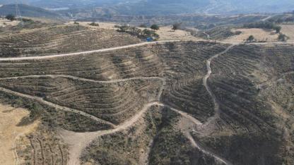 Çanakkale'de Yanan 11.868 Futbol Sahası! Orman Müdürlüğü Açıkladı: Geri Dönüş İçin Kritik Tarih Verildi!