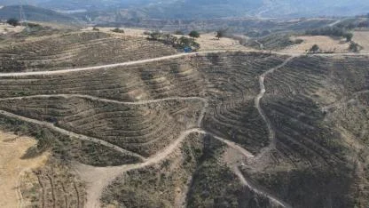 Çanakkale'de Yanan 11.868 Futbol Sahası! Orman Müdürlüğü Açıkladı: Geri Dönüş İçin Kritik Tarih Verildi!