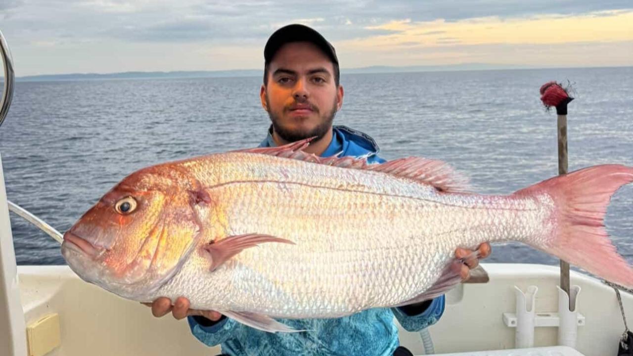Canlı Kalamarı Yem Yaptılar: Tam 12 Kilogramlık Mercanla Döndüler.