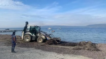 Çınarlı ve Dardanos’ta yol ve temizlik çalışmaları devam ediyor