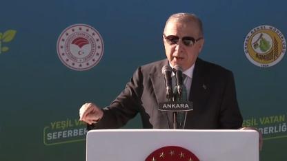 Cumhurbaşkanı Erdoğan, 11 Kasım Milli Ağaçlandırma Günü Programı'na Katılıyor! Yeşil Vatan İçin Kritik Mesajlar Verecek / CANLI