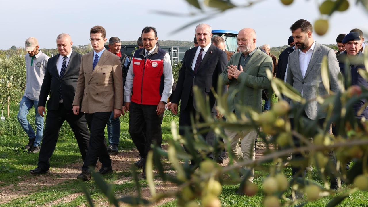 Ezine&#039;de Tarım Seferberliği: Vali Toraman&#039;dan Hasat Alanından Tariş Tesisi&#039;ne Kapsamlı İnceleme Turu