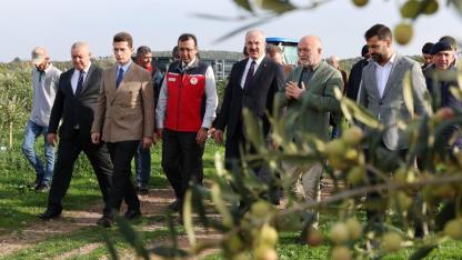 Ezine'de Tarım Seferberliği: Vali Toraman'dan Hasat Alanından Tariş Tesisi'ne Kapsamlı İnceleme Turu