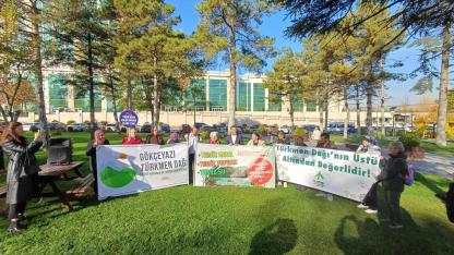 Fay hattı yakınında maden ısrarı: Çevreciler, Balıkesir'deki maden projesine Bakanlık önünde tepki gösterdi