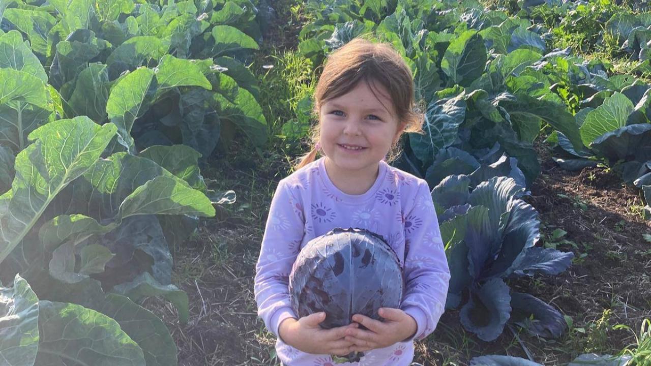 Hacıpehlivan Köyü&#039;nde Kasım bereketi