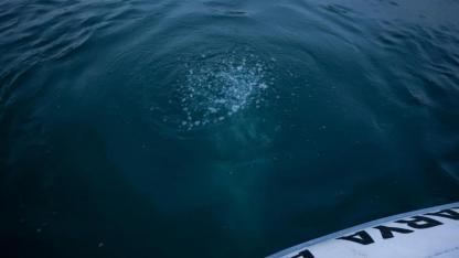 Kabarcıklar Deprem Habercisi mi? Sapanca Gölü'ndeki Gizemli Hareketlilik Tedirgin Etti