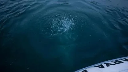 Kabarcıklar Deprem Habercisi mi? Sapanca Gölü'ndeki Gizemli Hareketlilik Tedirgin Etti