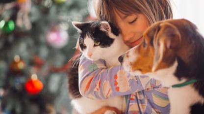 Kedi ve köpek sahiplerine son çağrı: Son gün 31 Aralık 2025!