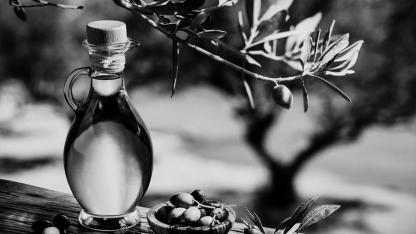 KÜÇÜKKUYU BELEDİYE BAŞKANLIĞI