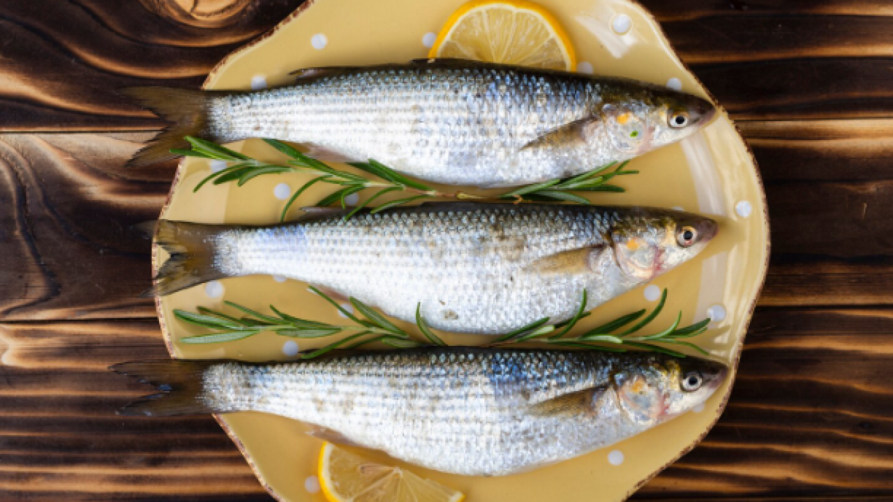 Lüferin Feryadı: Prenslik mi, Lüks mü?