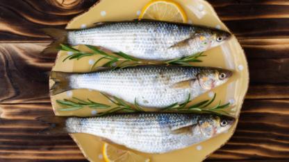 Lüferin Feryadı: Prenslik mi, Lüks mü?