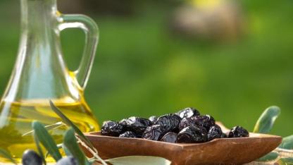 Marmarabirlik’ten 761 milyon liralık ödeme