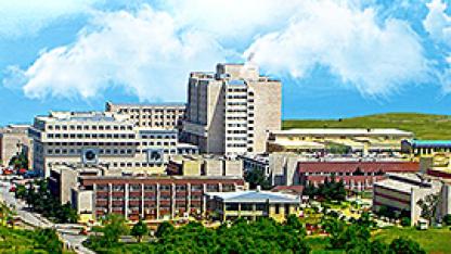 Ondokuz Mayıs Üniversitesi, Öğretim Üyesi Alımı İçin Başvuruları Başlattı