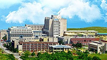 Ondokuz Mayıs Üniversitesi, Öğretim Üyesi Alımı İçin Başvuruları Başlattı