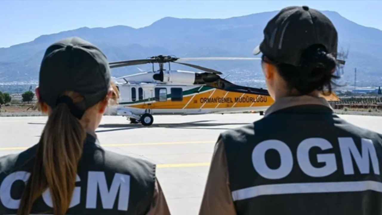 Orman Genel Müdürlüğü 496 Sözleşmeli Personel Alımı Yapacak: Başvuru Tarihleri ve Şartlar Açıklandı