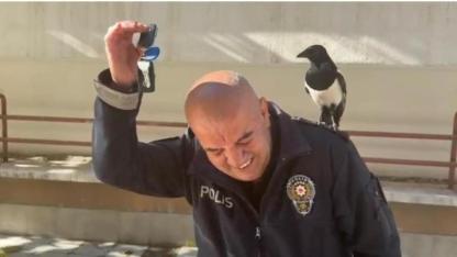 Polis memuru ile saksağan kuşunun dostluğu görenleri hayrete düşürdü