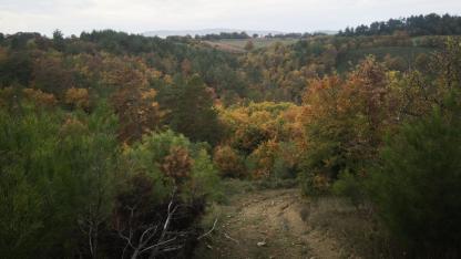 Yenice'de Kartpostallık Sonbahar! Yazar Şuayip Odabaşı Sofular ve Bekten Arası Manzaraları Paylaştı